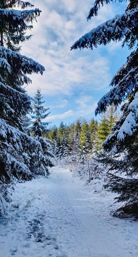 Apartman Lipno - Dve Zatoky Frymburk nad Vltavou Exterior foto